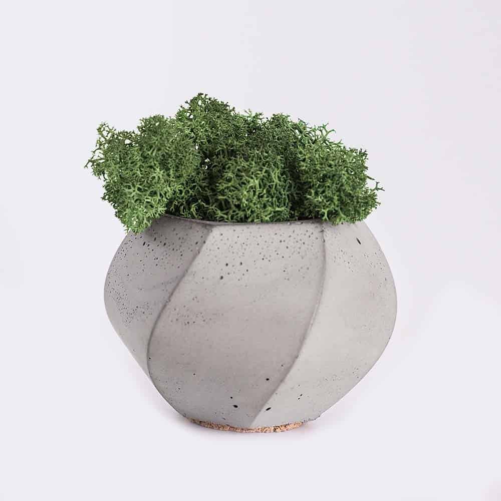 plant4 free img.jpg